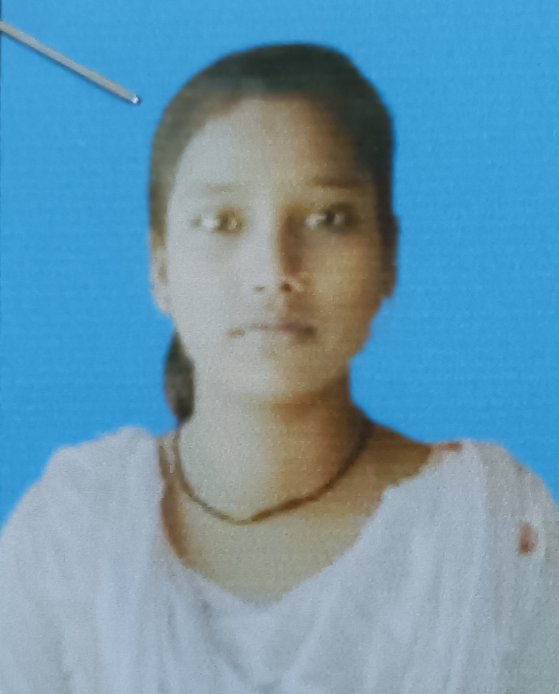 Syscom Computer Center Miaun